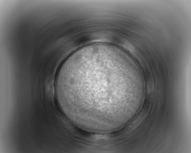 X0000090431274200707201129