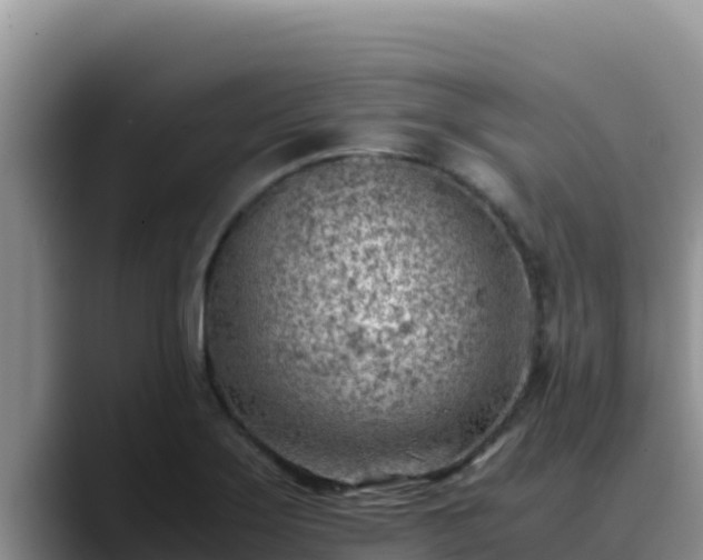 X0000090431275200707201129