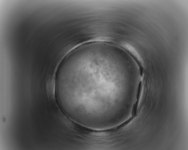 X0000090431276200707201129
