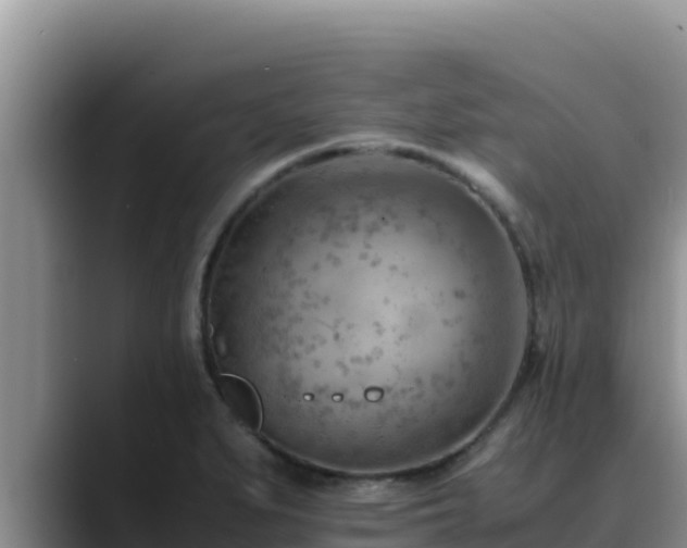 X0000090431279200707201129