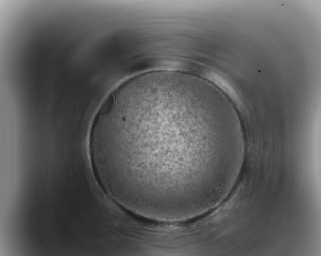 X0000090431283200707201129