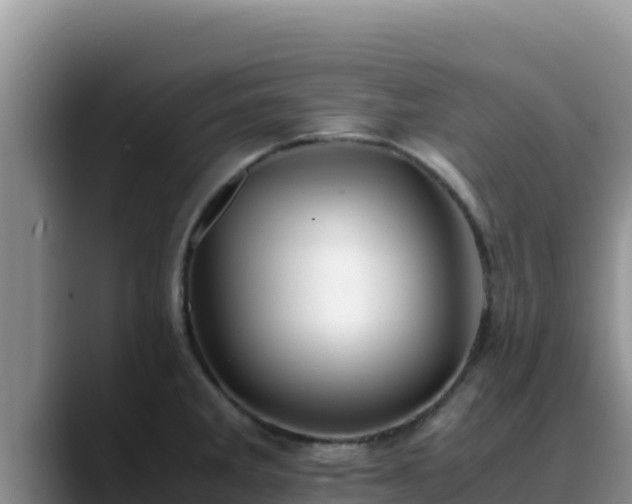 X0000090431285200707201129