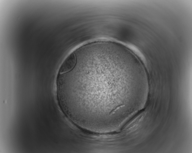 X0000090431287200707201129