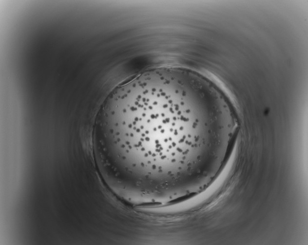 X0000090431289200707201129