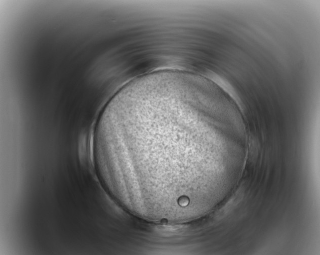 X0000090431290200707201129