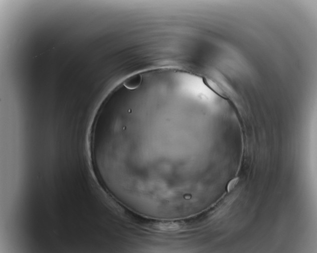 X0000090431291200707201129