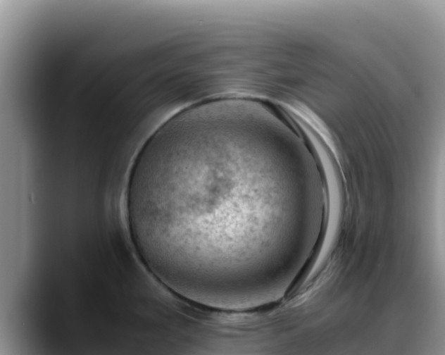 X0000090431293200707201129