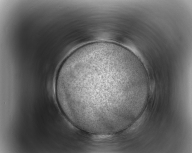 X0000090431294200707201129