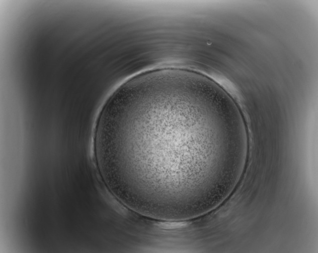 X0000090431296200707201129