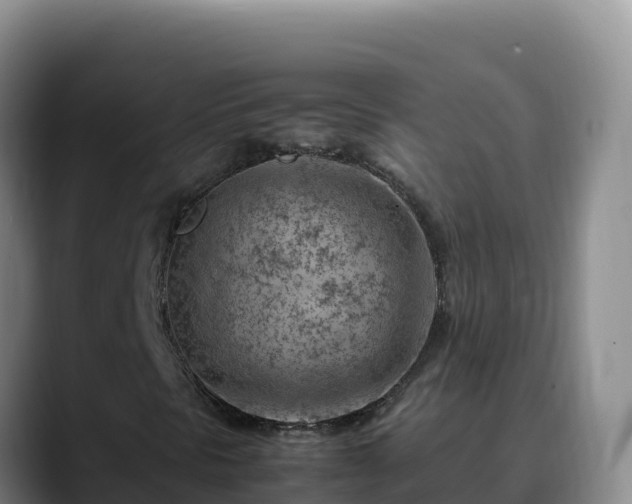 X0000090431297200707201129