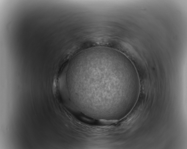X0000090431298200707201129