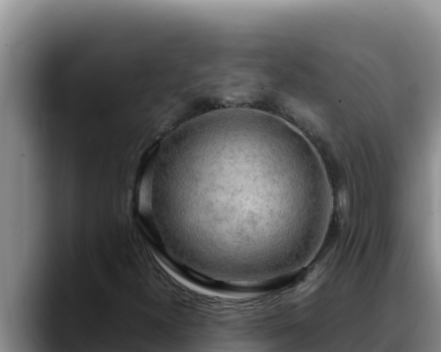 X0000090431300200707201129