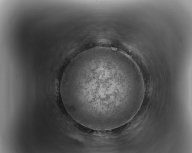X0000090431301200707201129