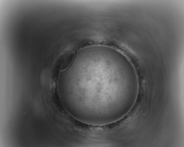 X0000090431302200707201129