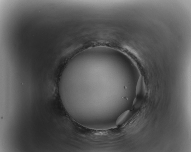 X0000090431303200707201129