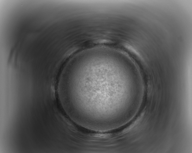 X0000090431305200707201129