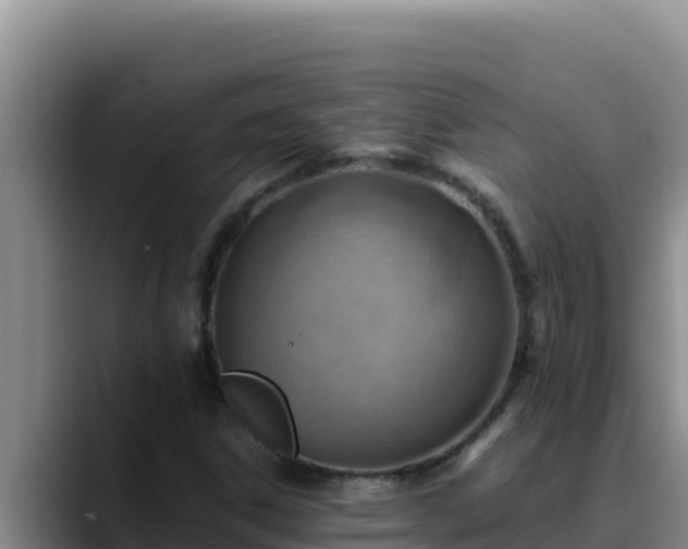 X0000090431306200707201129