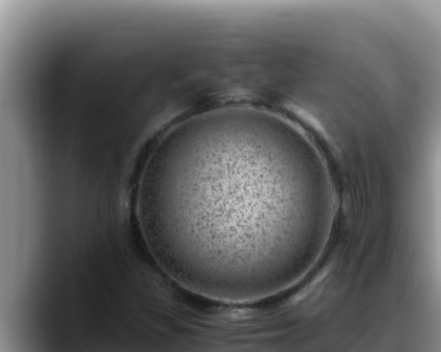 X0000090431309200707201129