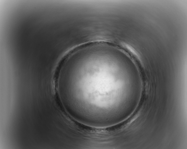 X0000090431310200707201129