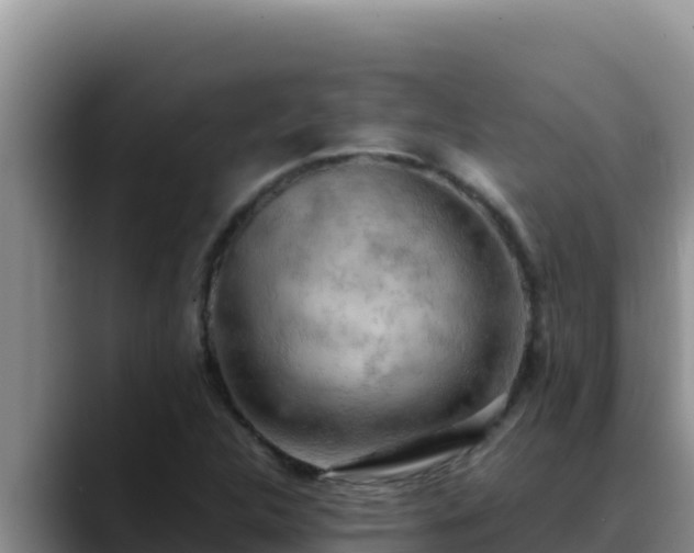 X0000090431312200707201129