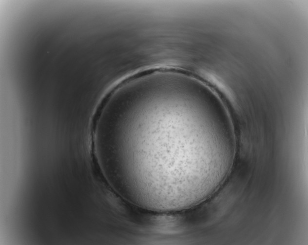 X0000090431316200707201129