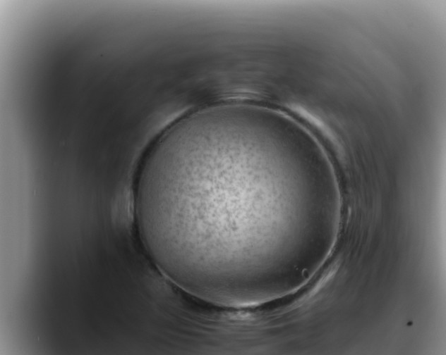 X0000090431317200707201129