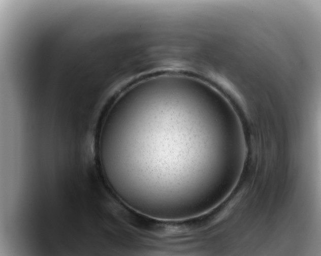 X0000090431318200707201129
