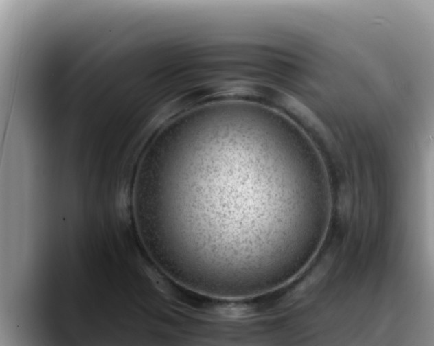 X0000090431321200707201129