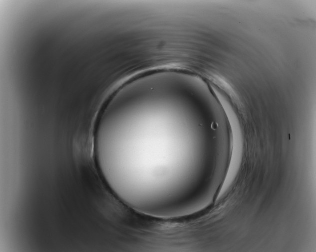 X0000090431324200707201129