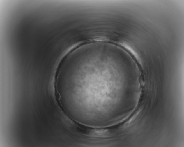 X0000090431325200707201129