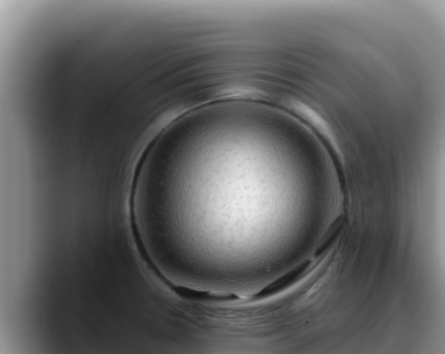 X0000090431330200707201129
