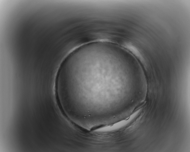 X0000090431331200707201129
