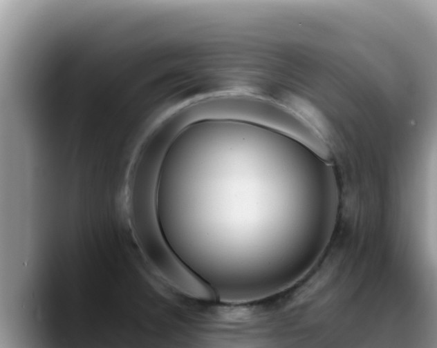X0000090431332200707201129