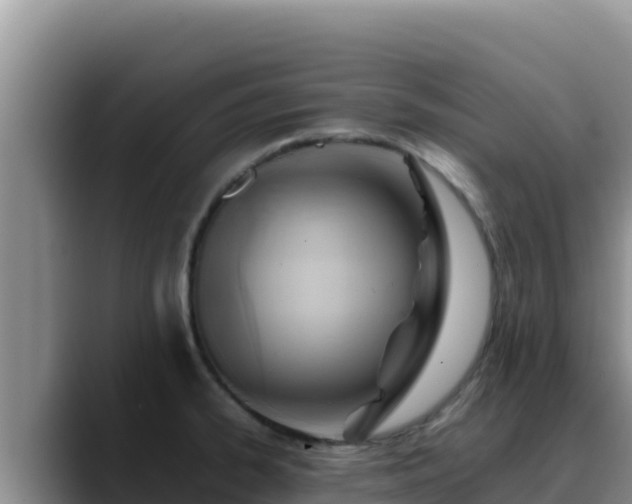 X0000090431334200707201129