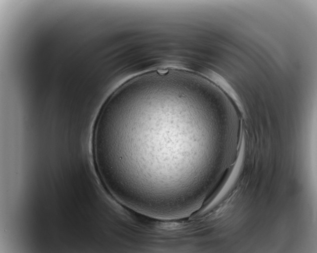 X0000090431339200707201129