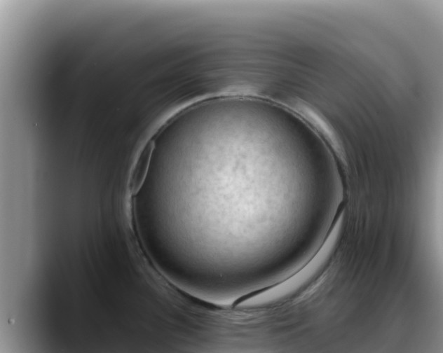X0000090431340200707201129