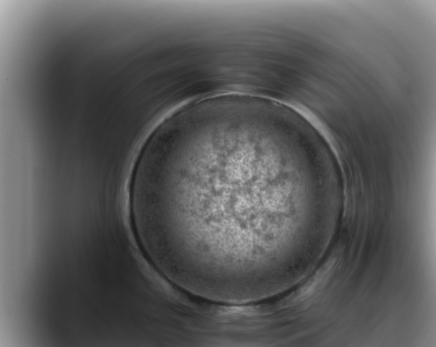 X0000090431341200707201129