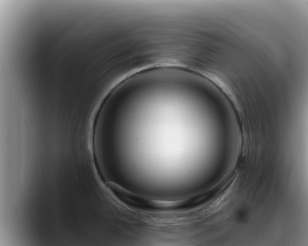 X0000090431342200707201129