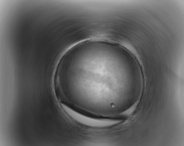 X0000090431344200707201129