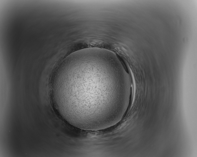 X0000090431345200707201129