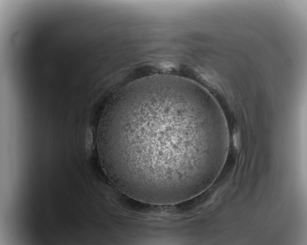 X0000090431347200707201129