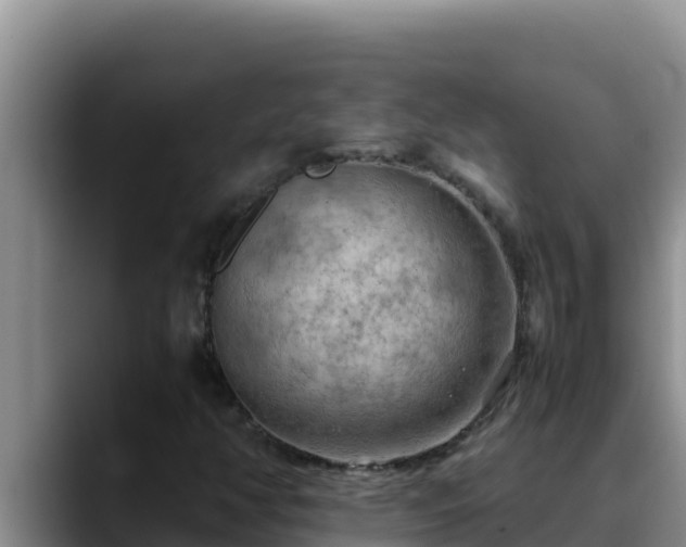 X0000090431350200707201129