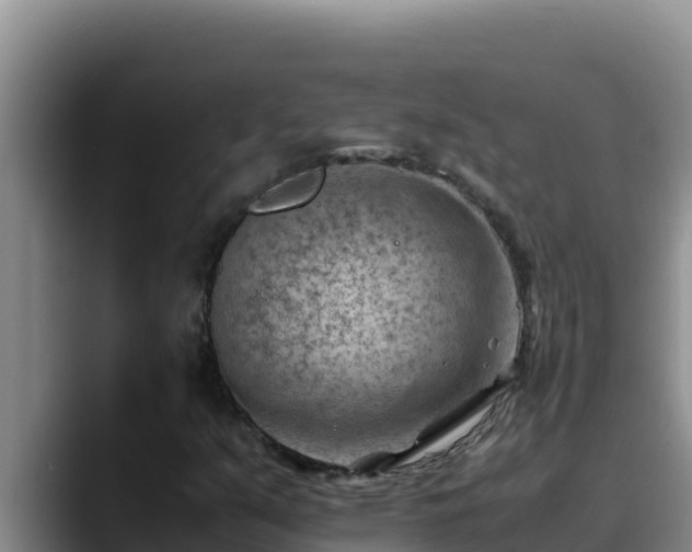 X0000090431351200707201129
