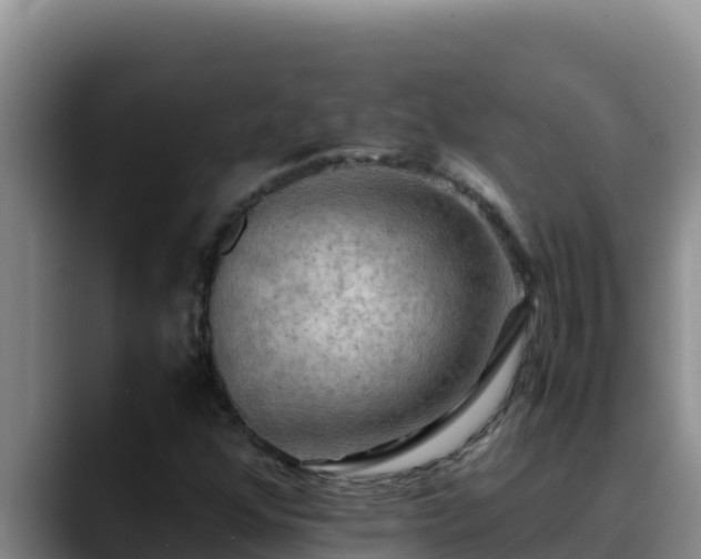 X0000090431352200707201129