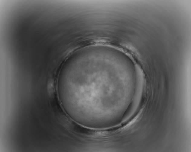 X0000090431353200707201129