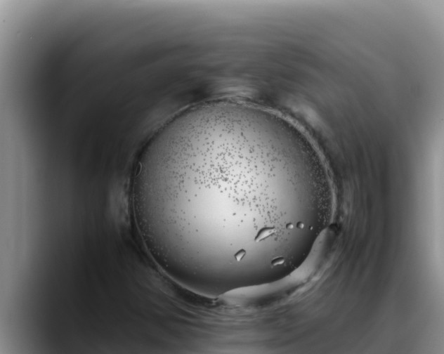 X0000090431354200707201129