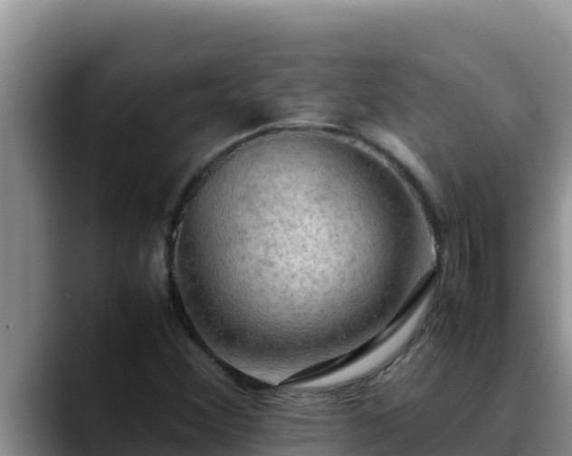 X0000090431356200707201129