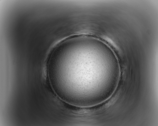 X0000090431358200707201129