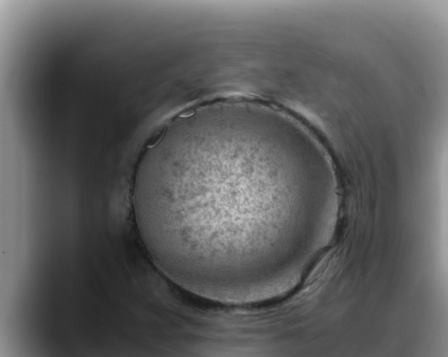 X0000090431359200707201129