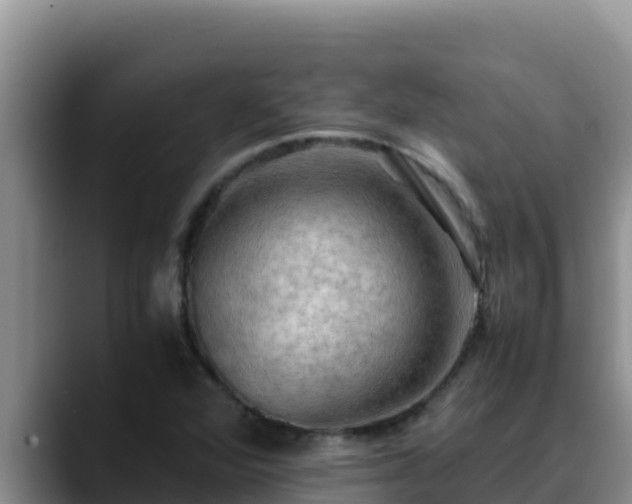 X0000090431360200707201128